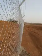 مقاول شبوك وتوريد وزراعة النخيل بأقل الأسعار 4