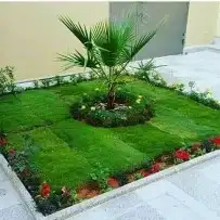 تنسيق حدائق حديثه جميع انواع لاشجار وثيل الطبيعي 4
