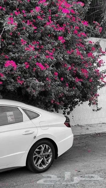 كداد من خميس مشيط الى مناطق الساحل وجازان 0