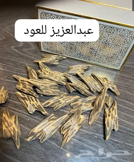 عبدالعزيز للعود 1