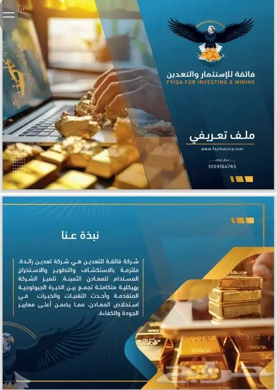 خدمات التعدين والاستشارات الجيولوجيا والمناجم المحاجر والرخص 0