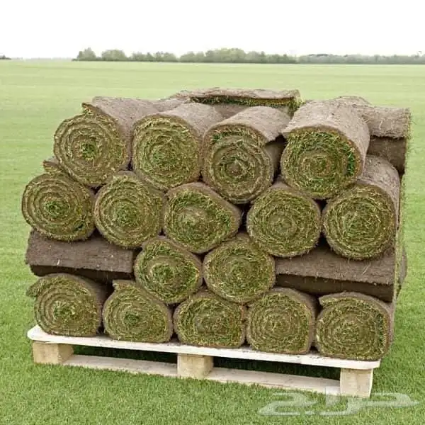 تنسيق حدائق احوض طبيعي ثيل طبيعي شبكات ري 4