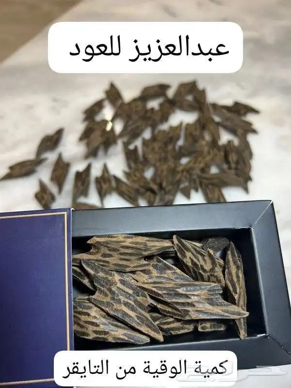 عبدالعزيز للعود 9