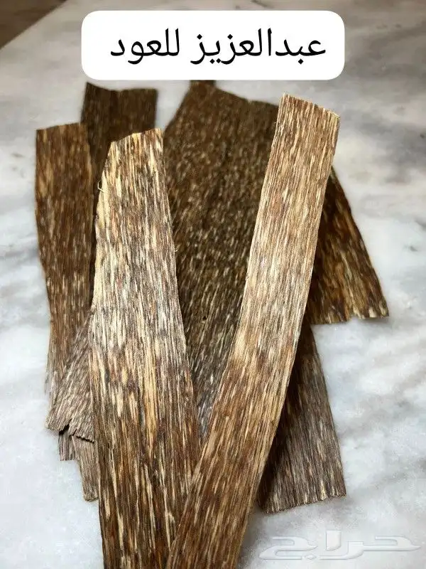 عبدالعزيز للعود 4