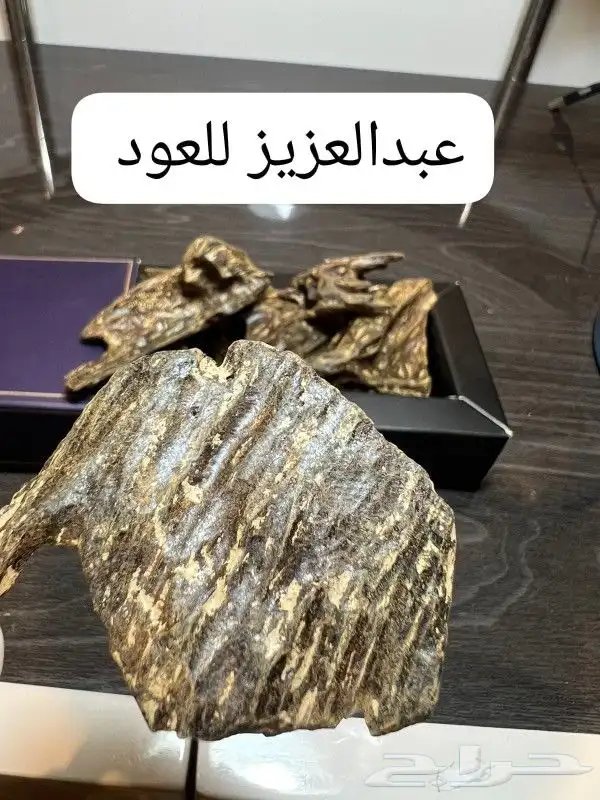 عبدالعزيز للعود 6
