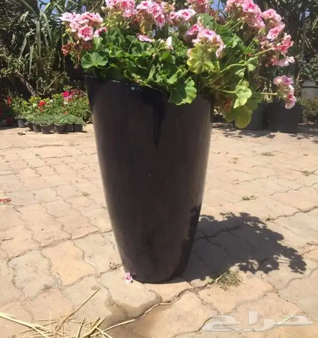 احواض فيبر جلاس للزرع الصناعي والطبيعي احواض ضد الكسر 0