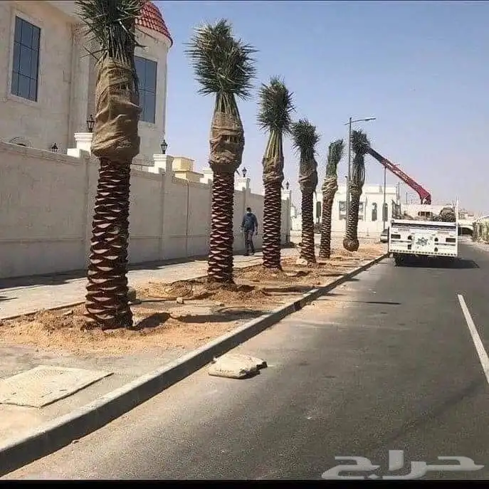 تنسيق حدائق احوض طبيعي ثيل طبيعي شبكات ري 8