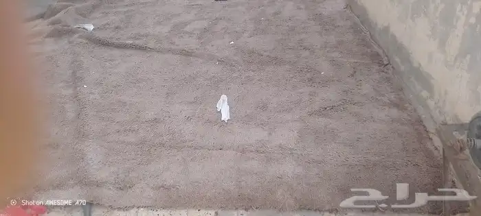 فرشه للبيع على السوم تجتاج للتنضيف فقط عليه شوي ترب 6