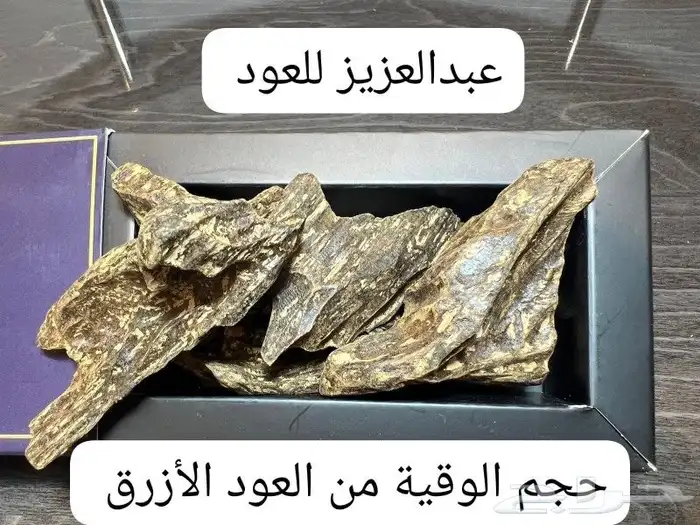 عبدالعزيز للعود 7