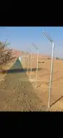 مقاول شبوك وتوريد وزراعة النخيل بأقل الأسعار 2