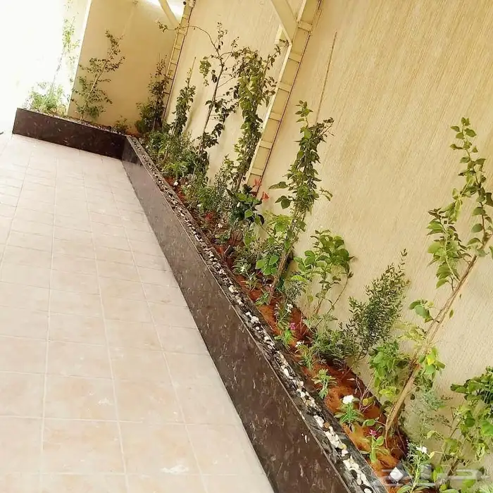 تنسيق حدائق احوض طبيعي ثيل طبيعي شبكات ري 9