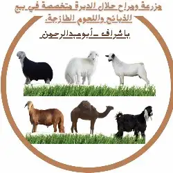 مزرعة ومراح حلال الديرة لبيع الذبايح مع خدمةالذبح والتوصيل 5