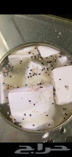 جبنه عرب غنم 8