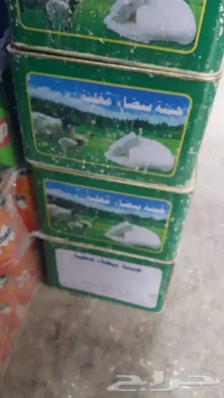 جبنه عرب غنم 6