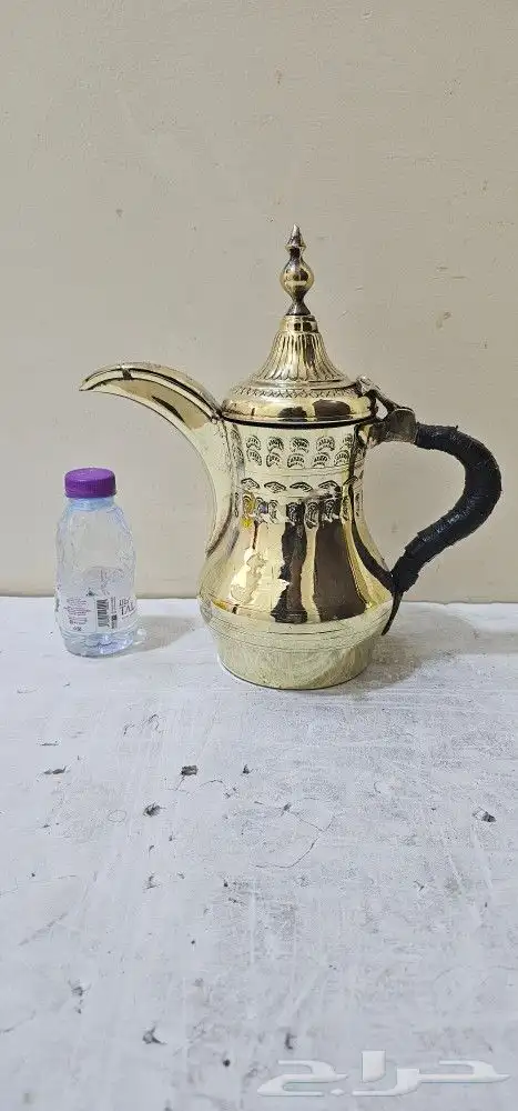 دلتين حمصيه 12