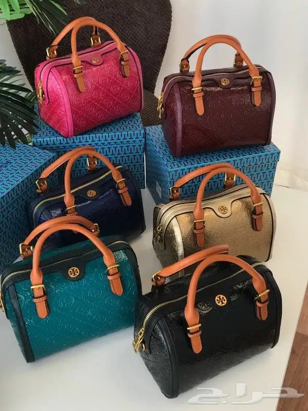 جملة وقطاعي 5