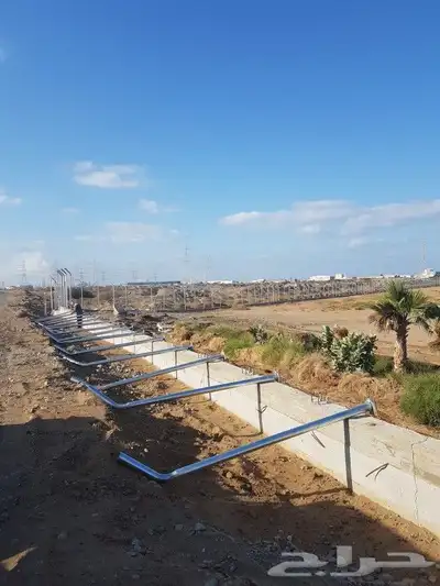 شبوك وشايك الجنوب 5