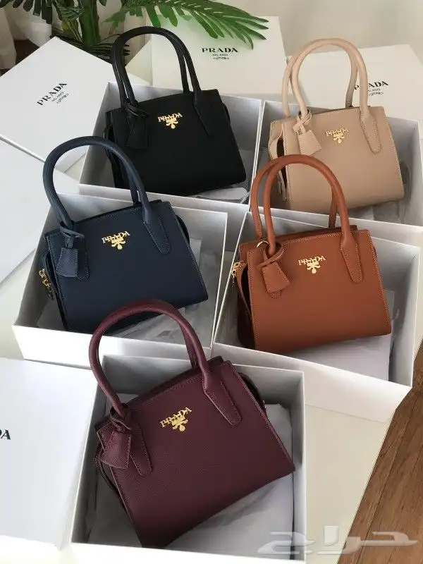 جملة وقطاعي 3
