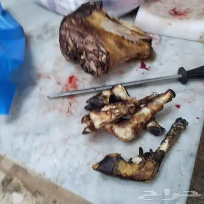 مزرعة ومراح حلال الديرة لبيع الذبايح مع خدمةالذبح والتوصيل 2