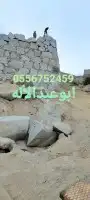 بكلين 9