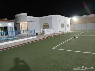 اصباغ ديكورات 3