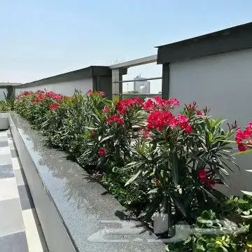 زراعه وتنسيق الحدائق 3
