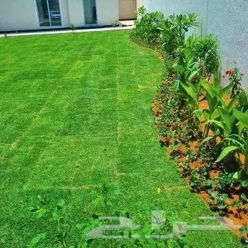 زراعه وتنسيق الحدائق 0