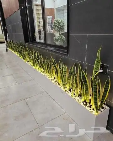 زراعه وتنسيق الحدائق 4