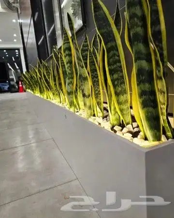 زراعه وتنسيق الحدائق 5