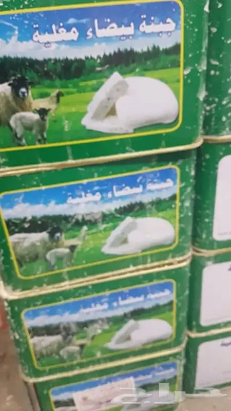 جبنه عرب مقليه 7