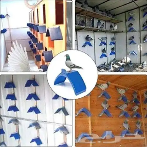مجاثم أوقافات لعشش الحمام 4