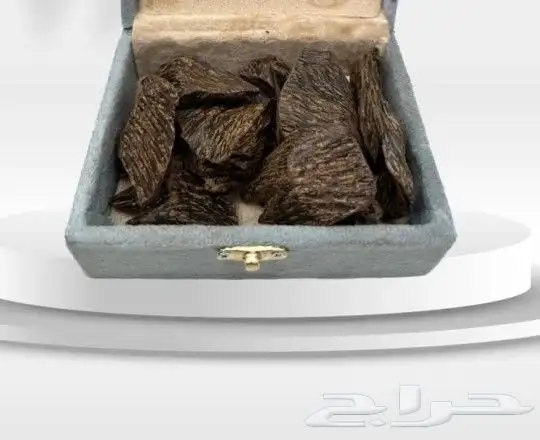 عرض على العود باأسعار مناسبه 7