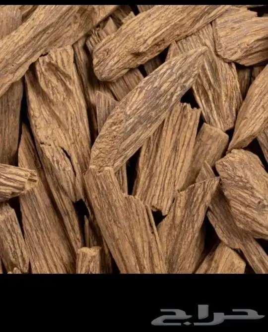عرض على العود بالكيلو 5