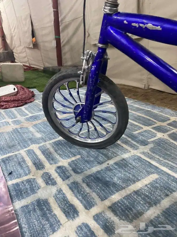 سيكل كوبرا مقاس 16 نضيف 2