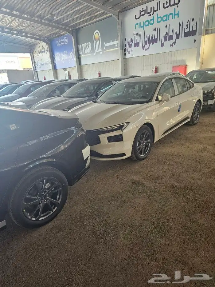 تورس ترند 2025 ابيض واسود مبيعات بنووك 3