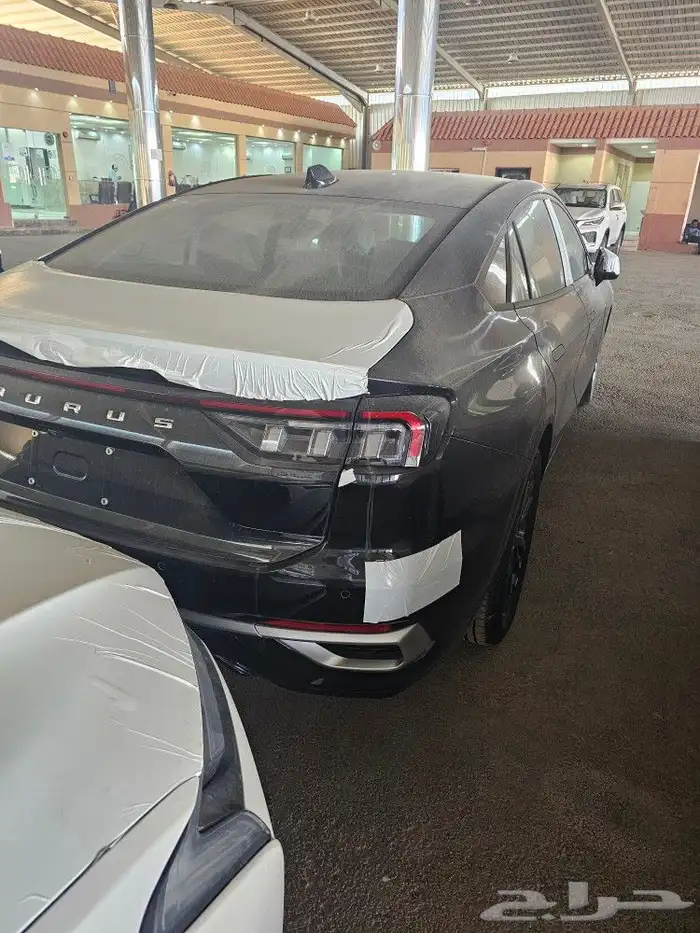 تورس ترند 2025 ابيض واسود مبيعات بنووك 0