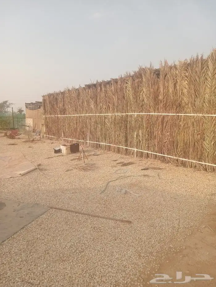 نطاق الخرج 0