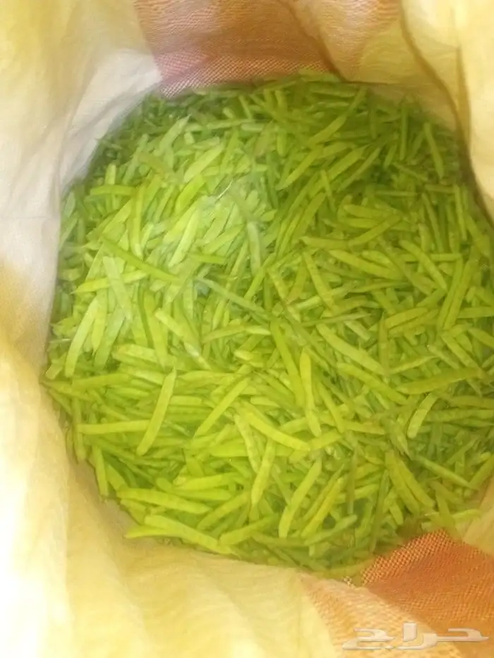 قوار طازج من جيزان 0