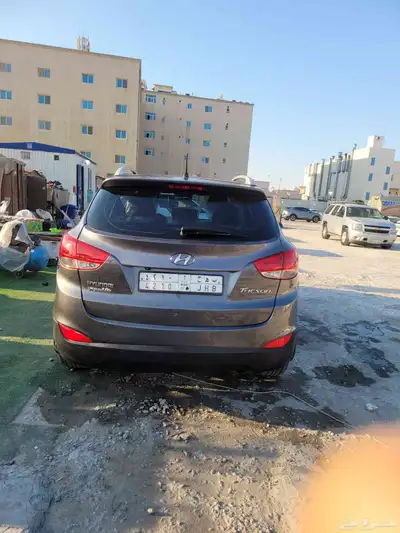 القطيف 3