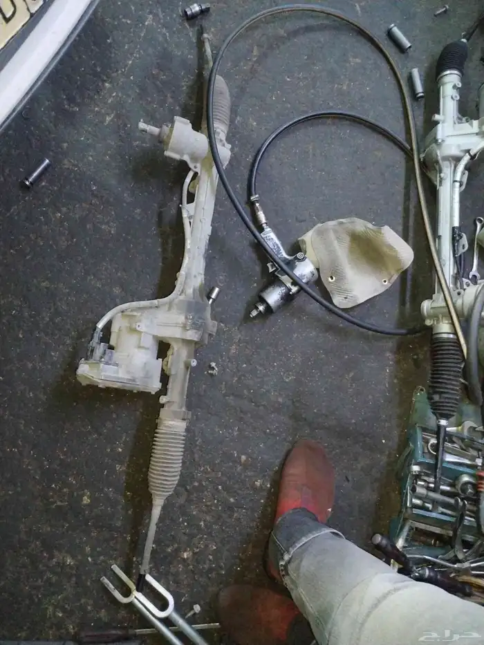 دودة دركسيون فورت تورس 0