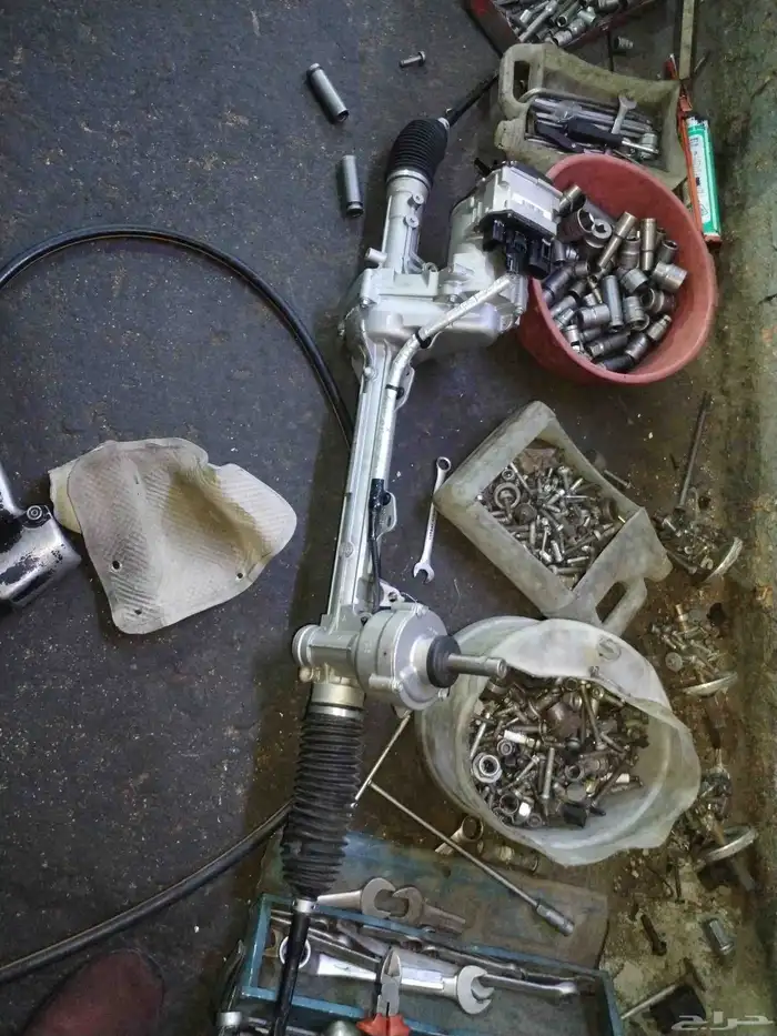 دودة دركسيون فورت تورس 1