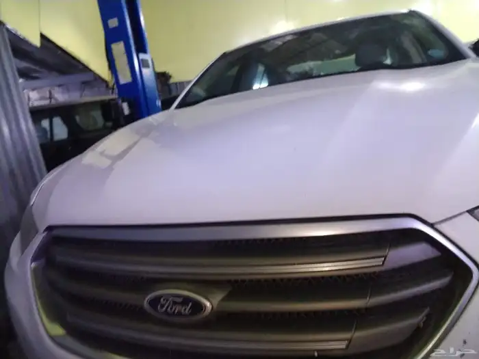 دودة دركسيون فورت تورس 2