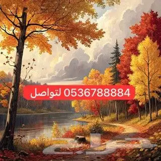 استراحة 0
