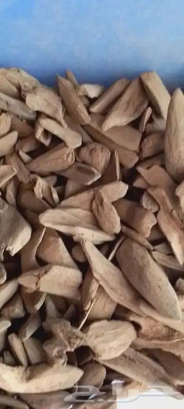 مروكي طبيعي 1