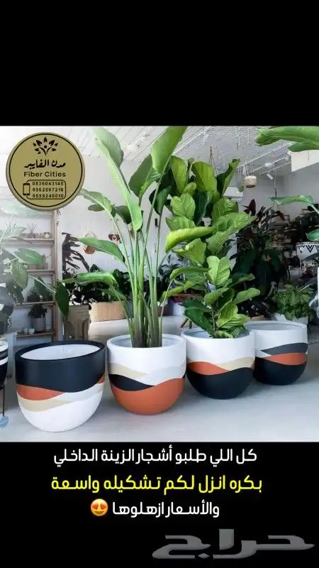 احوض فيبر جلاس 6