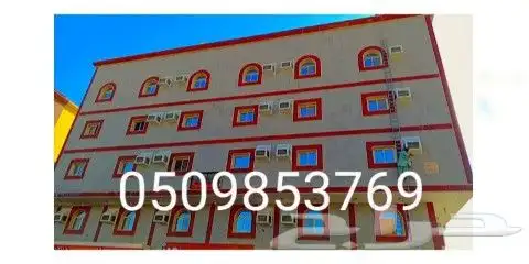 طرد الحمام شبابيك شوك 6