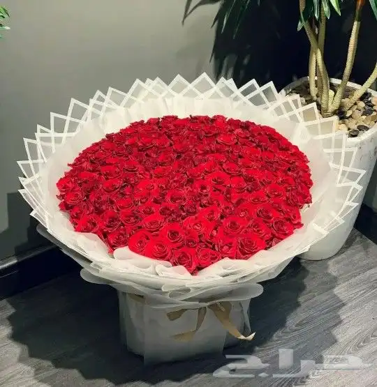 ورد احمر هدايا حسب الطلب توصيل في نفس اليوم 4