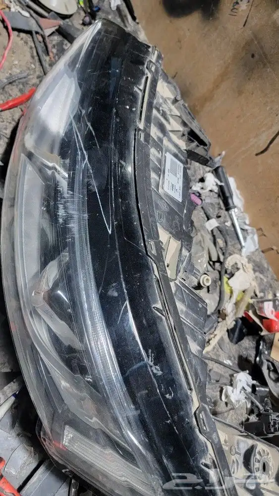 شمعات رينو كوليوس 2023 1