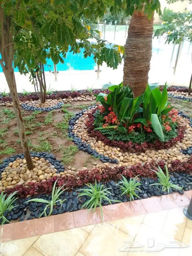 تنسيق حدائق وزراعه التيل وتركيب شبكة الري 1