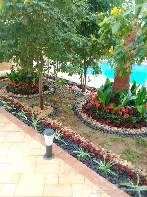 تنسيق حدائق وزراعه التيل وتركيب شبكة الري 0
